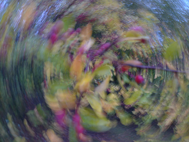 Abstract panning photograph of a still forest scene with circular camera rotation creating a dreamy watercolor blur effect from the blended colors and textures