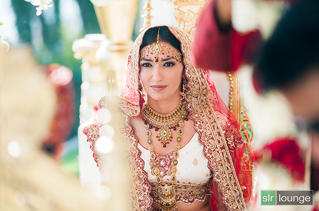 Nikon-D700 hindu bridal portrait to illustrate what are pixels