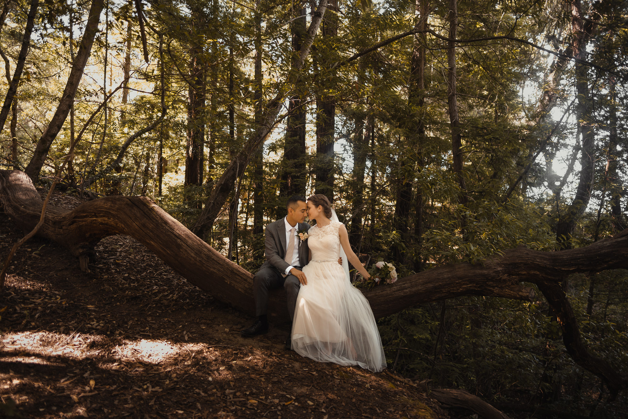 dark moody portraits woodsy forest