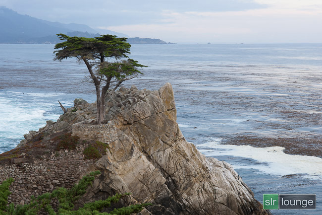 Lone Cypress by Joe Gunawan | fotosiamo.com for SLR Lounge.com