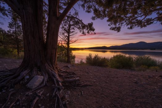 Nikon 14 30mm f 4 Z S Review wide angle full frame lens landscape photography 04