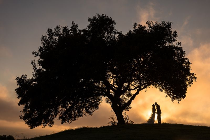 Wedding Photography Pricing Guide