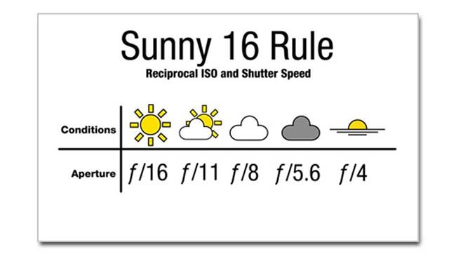 Sunny 16 sticker by CafePress