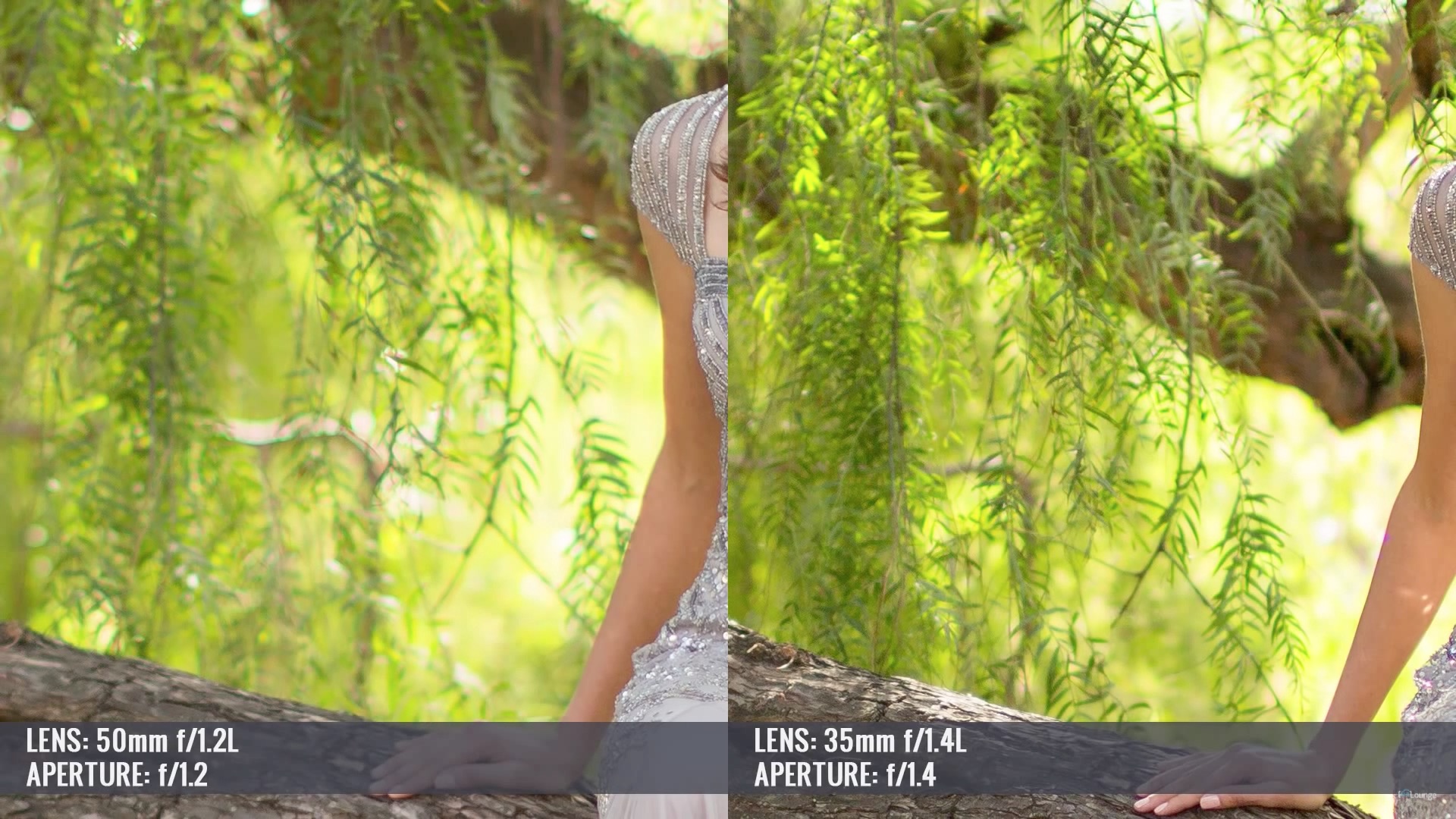 Side by side comparison showing smooth creamy bokeh on the left versus busy distracting bokeh on the right from the same scene